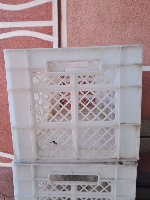 Пластиковые ящики.