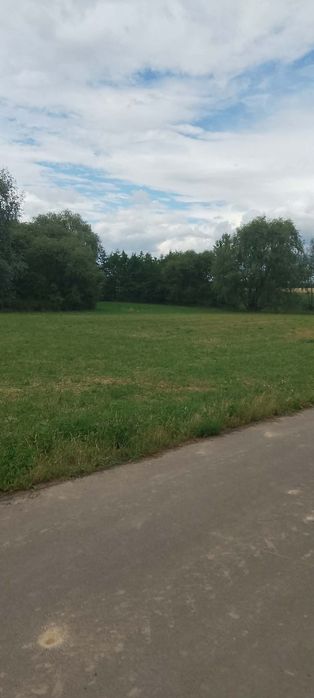 Sprzedam 2 hektary ziemi