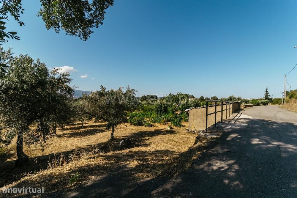Terreno / Fundão, Aldeia de Joanes — Fundão, Valverde, Donas, Aldeia De Joanes E Aldeia Nova Do Cabo, Castelo Branco