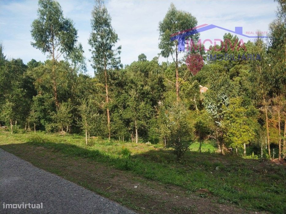 Terreno com 1790m2 em Pedrógão Grande