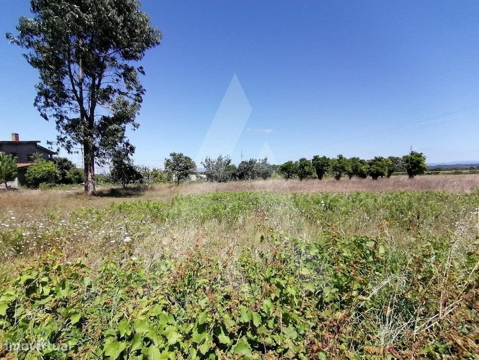 Lote de terreno para construção em Aveiro