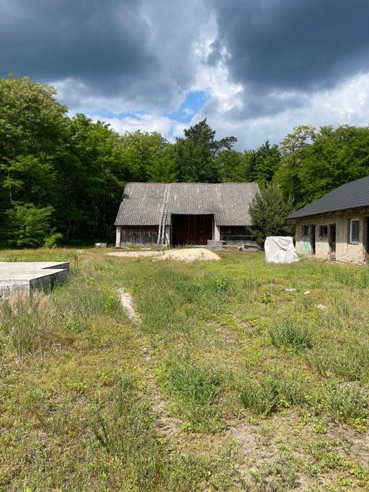 Działka 73 ar z zabudowanimi i lasem pod Połańcem na sprzedaż wyjątkowa lokalizacja - View 3