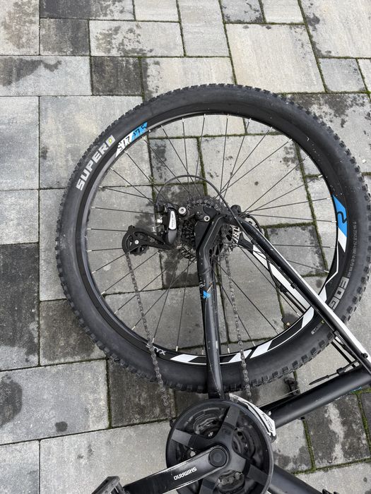 Rower BULLS ………………