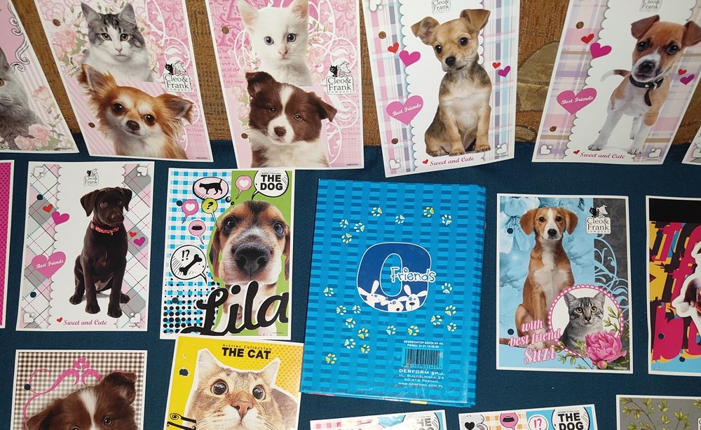 NOWY zestaw karteczek do segregatora i Nowy segregator.