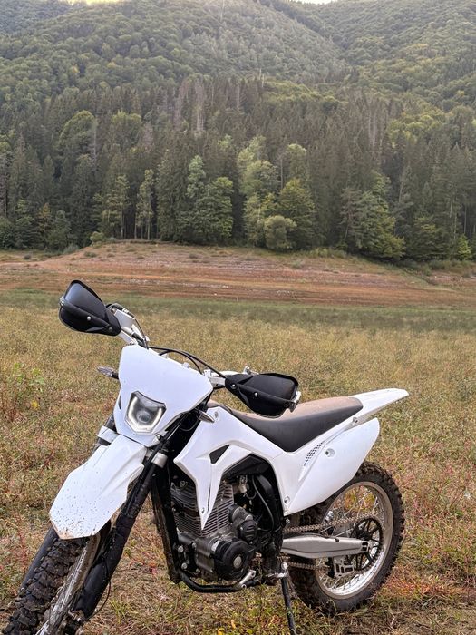 Kayo t2 250 2025