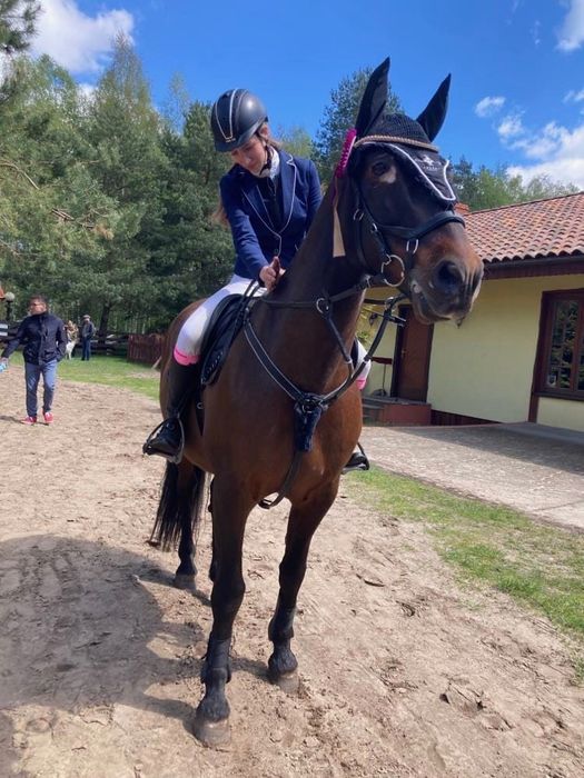 Współdzierżawa wałaszka - PRE