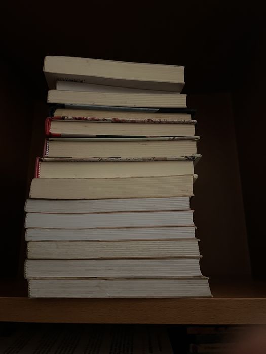 14 Livros Margarida Rebelo Pinto - Romance