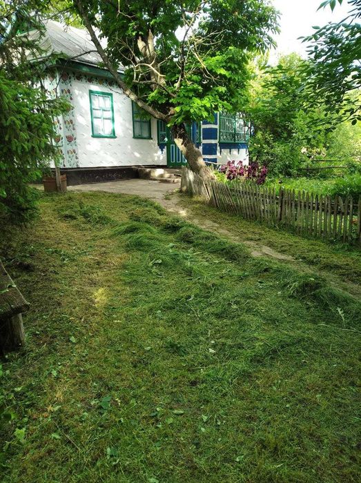 Хата в селі Небелівка