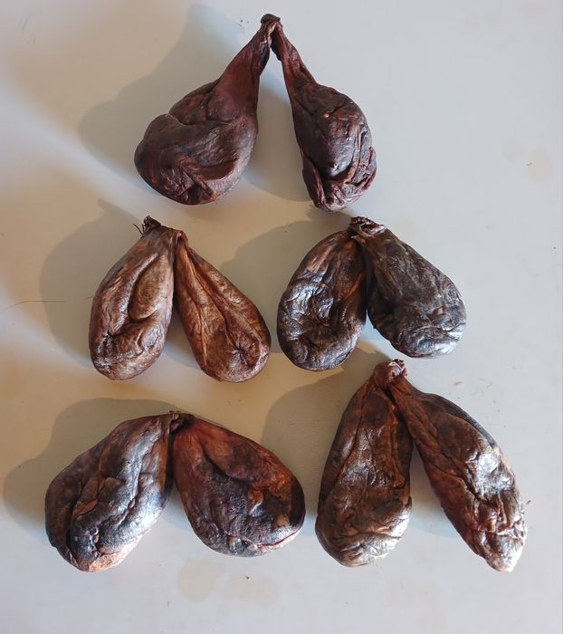 Струмінь бобра бобровая струя