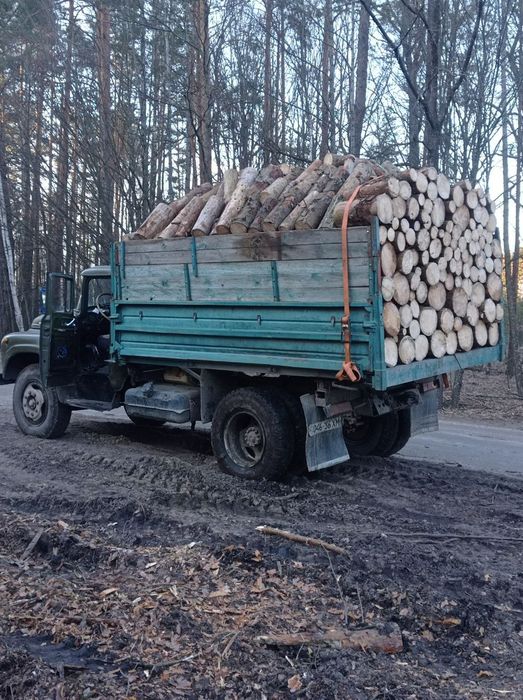 Продам дрова твердих порід, Житомир