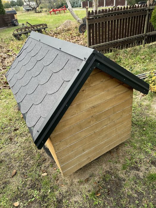 Buda dla psa solidna