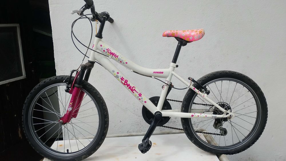Bicicleta roda 20 polegadas
