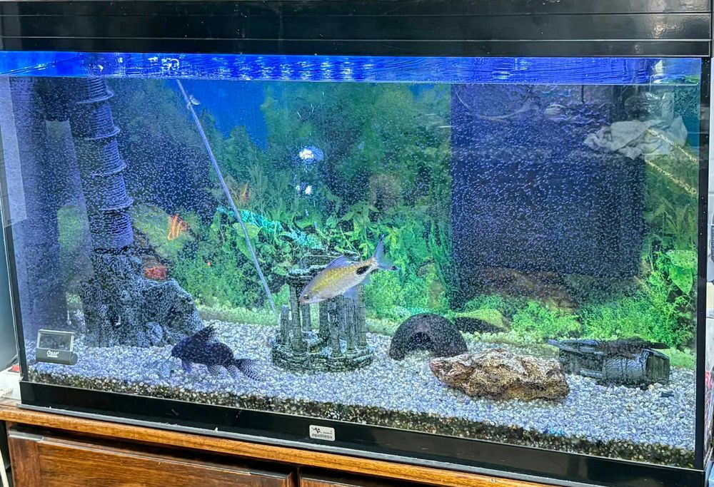 Aquário 200 litros (sem peixes)