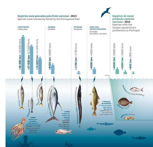 Livro completo "Do Mar Oceano ao Mar Português" -> NOVO