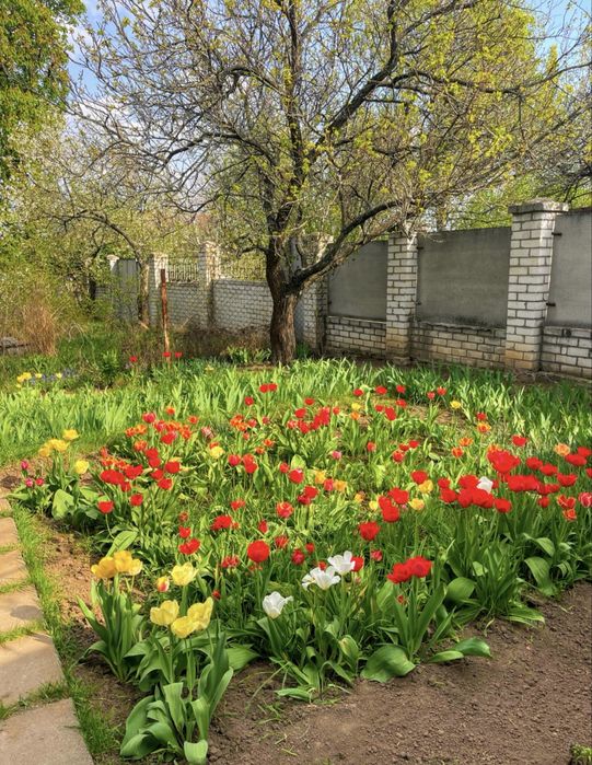 Продам полдома в Рай-Еленовке