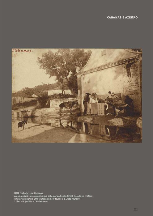 Os Dias de José Bárcia - a coleção fotográfica de 1895 a 1917