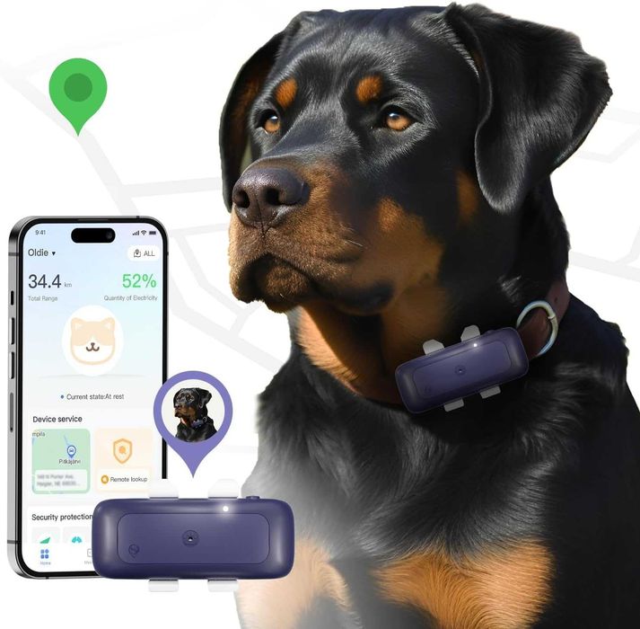SEEWORLD Lokalizator GPS 4G dla psów / kotów