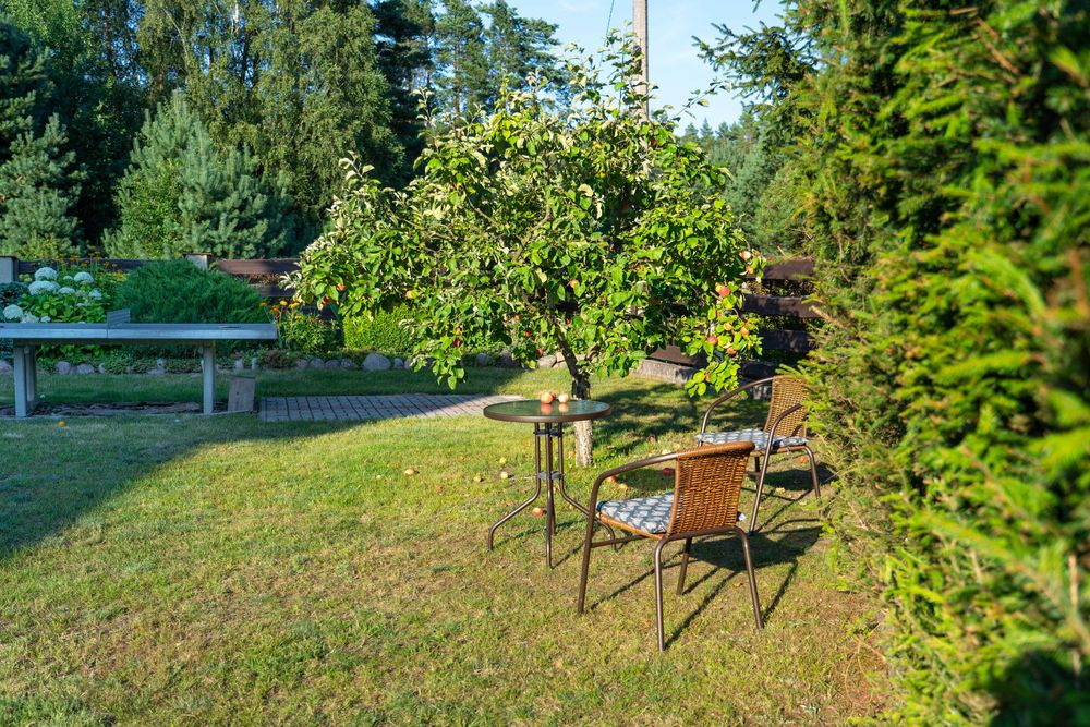 Domek do wynajęcia - Stare Jabłonki, Mazury