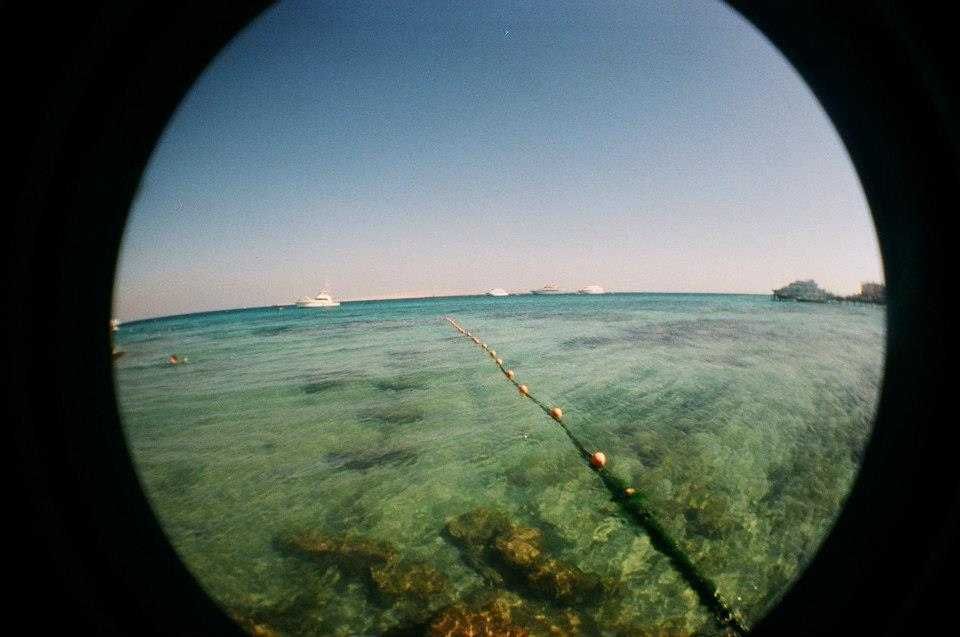 Unikat! Lomography Fisheye One Koi Edition 100% Sprawny, Stan Igła LOMO