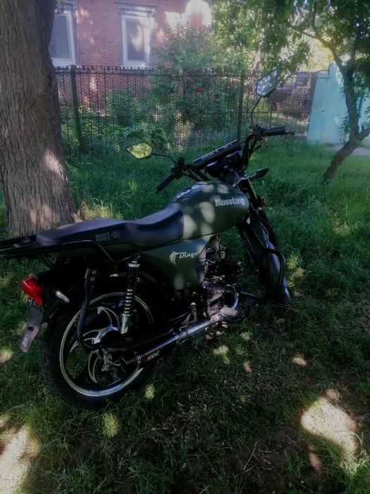 Musstang dingo 125