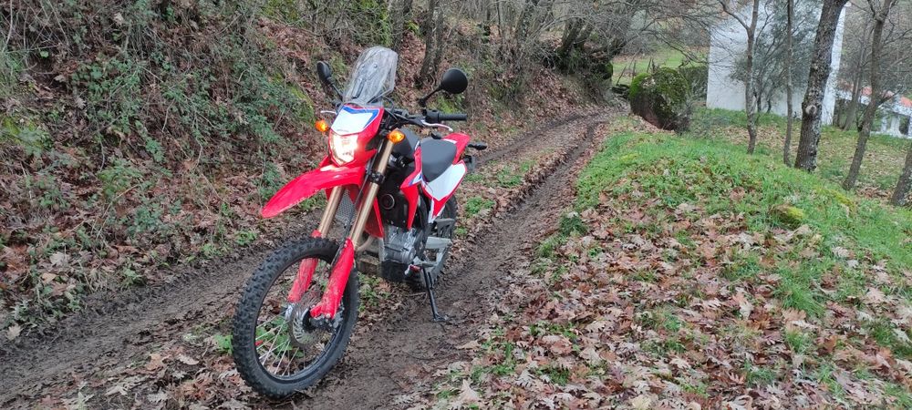 Honda CRF  300 L
