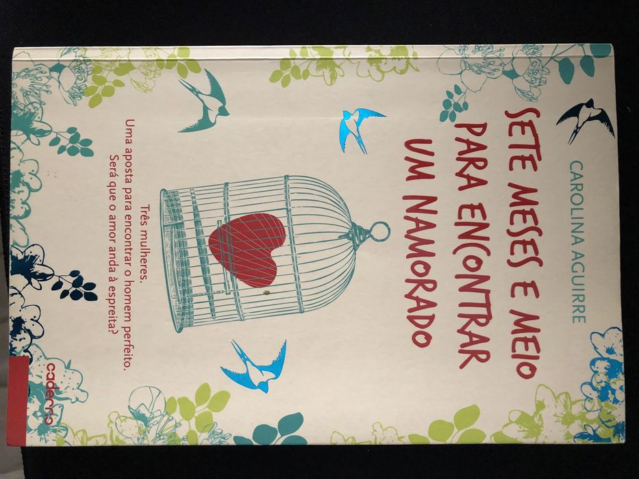 Livro “Sete meses e meio para encontrar um namorado”