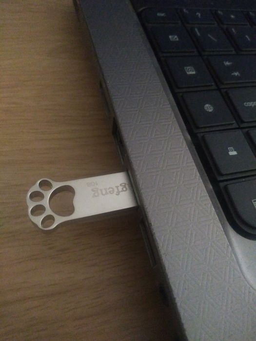 Pen usb pata animal428222510710149123