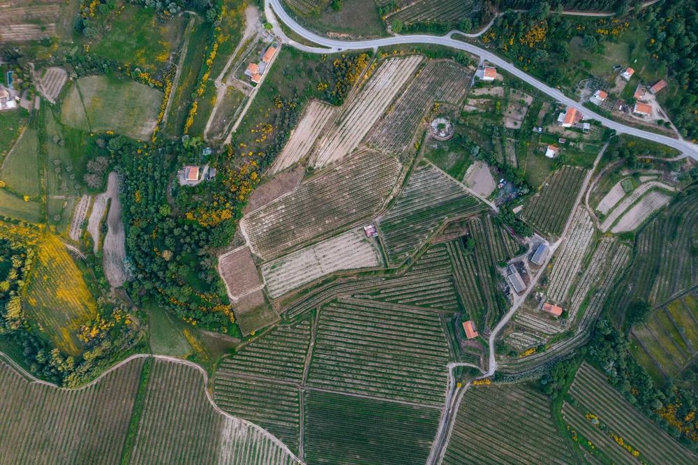 Topografo - Apoio BUPi e Levantamento de Terrenos (GPS)