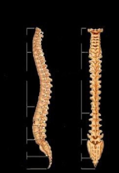 Остеопатія масаж
