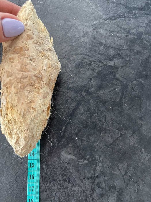 Twardy gryzak L dla psa naturalny patyk z drzewa kawowego Chewies M