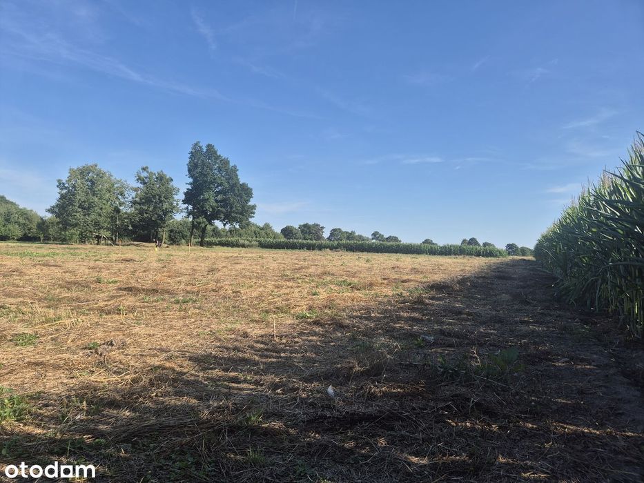 Działka budowlana 1000 m² z widokiem na Góry Opawskie i Pradziada