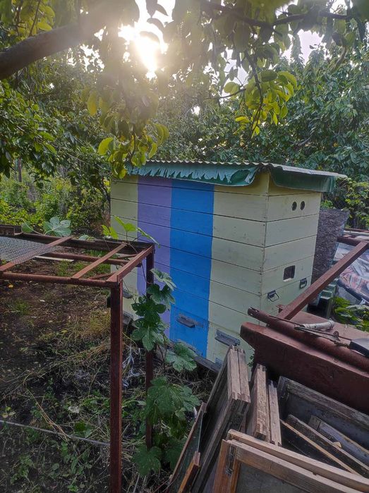 Апидомик - На четыре семьи