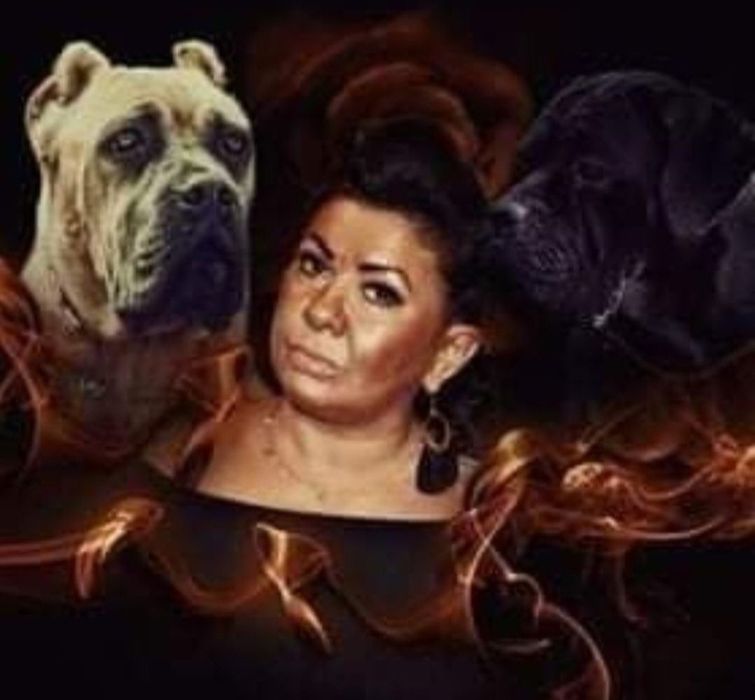 Cane Corso Profesjonalna Hodowla Corso Doro ZKWP/FCI