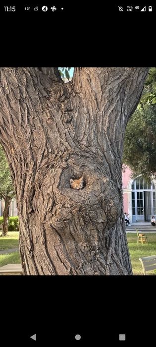 Wolne pokoje /noclegi