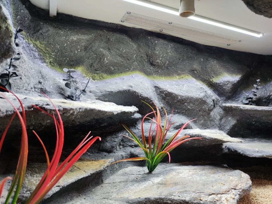 Terrarium 120x60x60 agama jaszczurka waran PETMARKET
