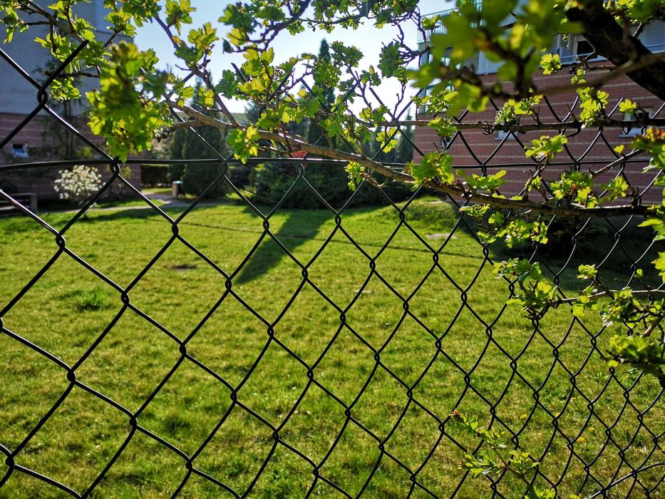 POWLEKANA Siatka Ogrodzeniowa Zielona 3.1mm 1.5m x 10m za JEDYNE 117zł