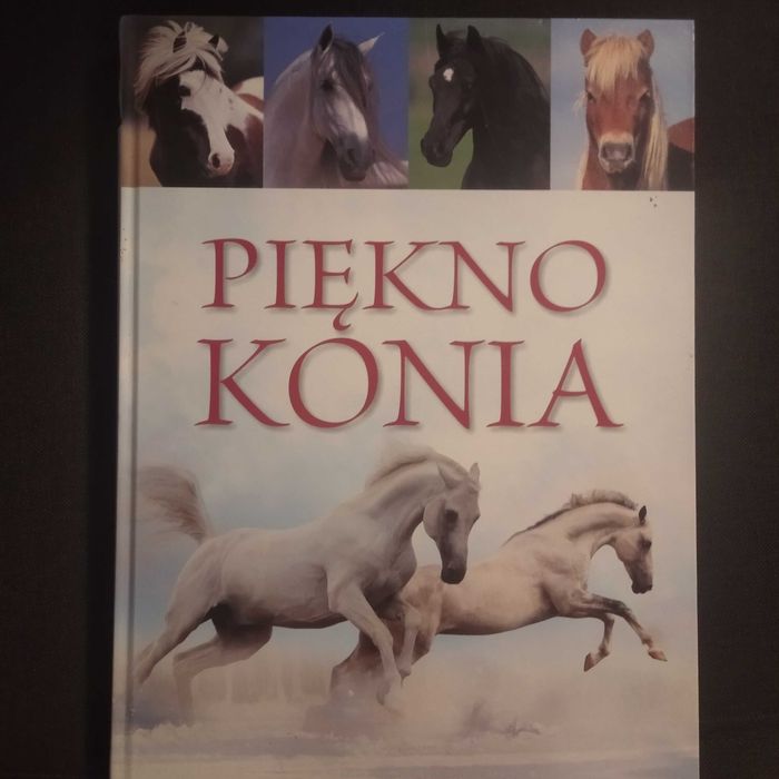 Piękno konia książka