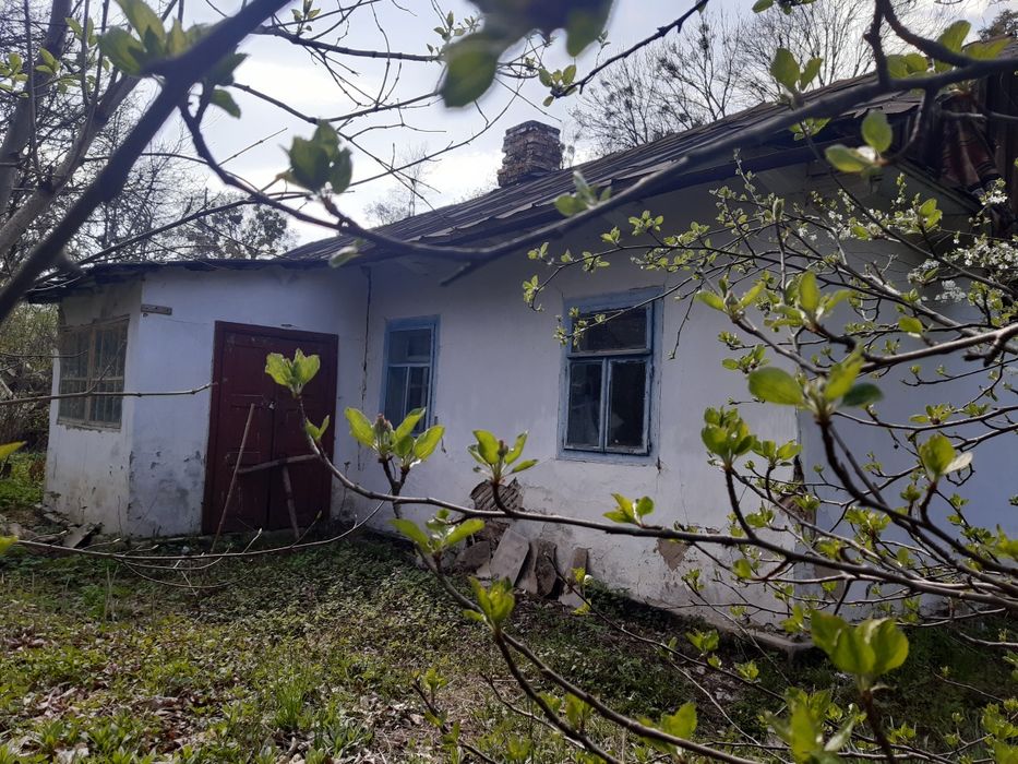 Земельна ділянка з будинком в с.Плужне Хмельницька область