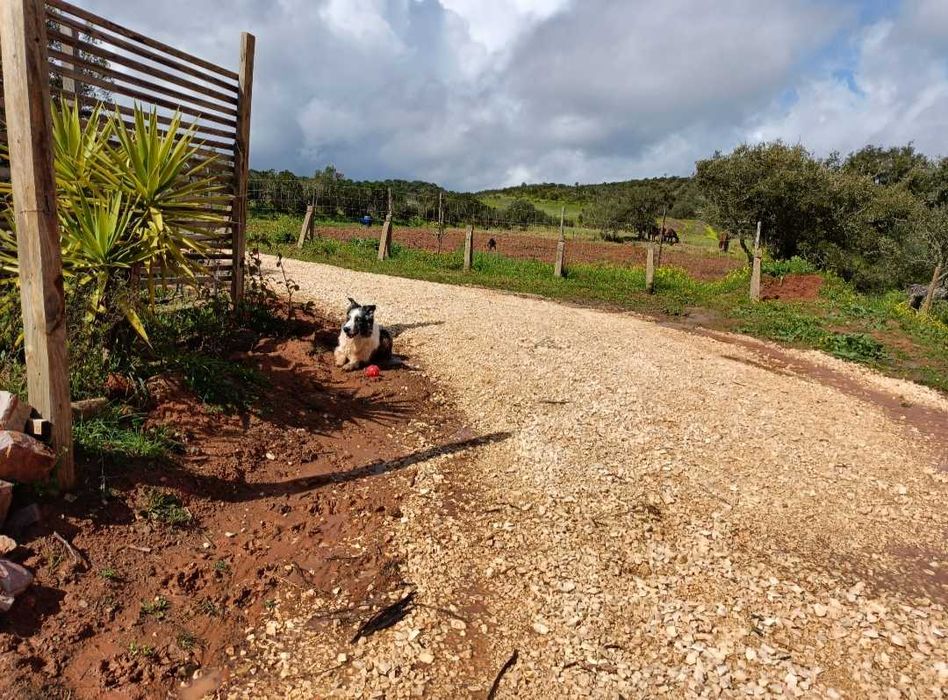 Terreno rústico em Lagos, Bensafrim com 1 hatare, com furo de água
