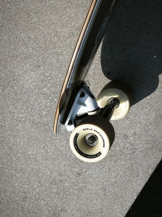 Skate Shark Tail