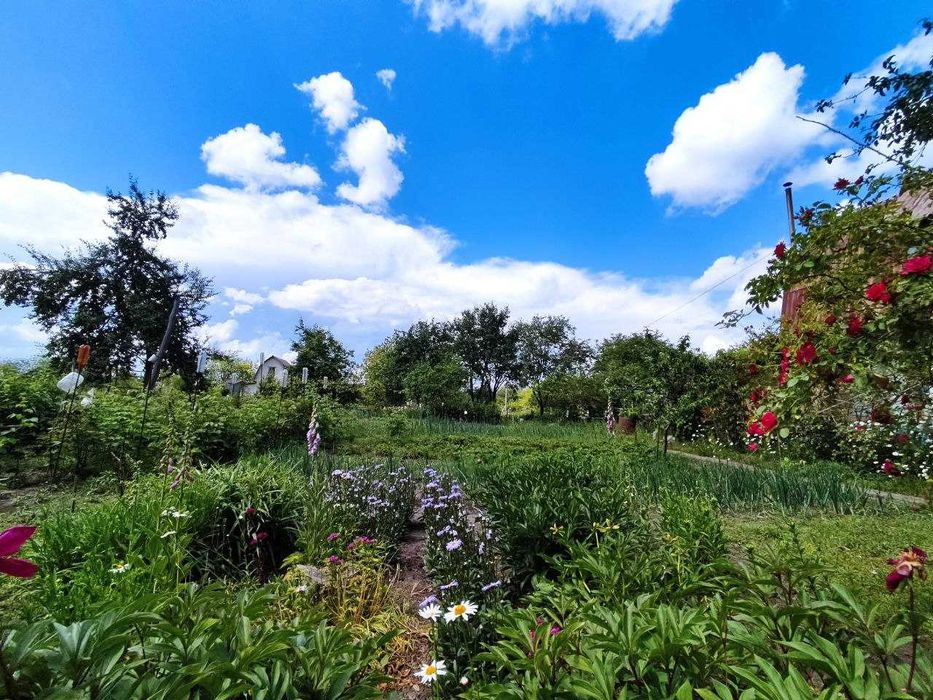 Продам дачу біля лісу - ділянка 15 соток та будинок з опаленням. (SP)