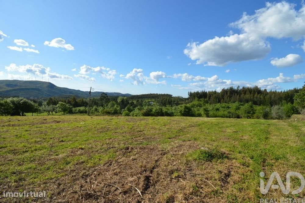 Terreno para construção em São Miguel, Santa Eufémia e Rabaçal