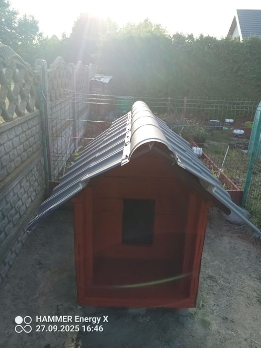 Buda dla psa średniego