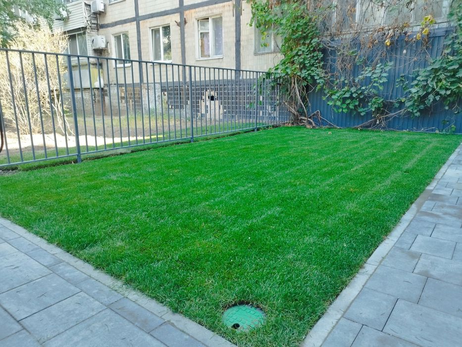 Скорифікація  Газону