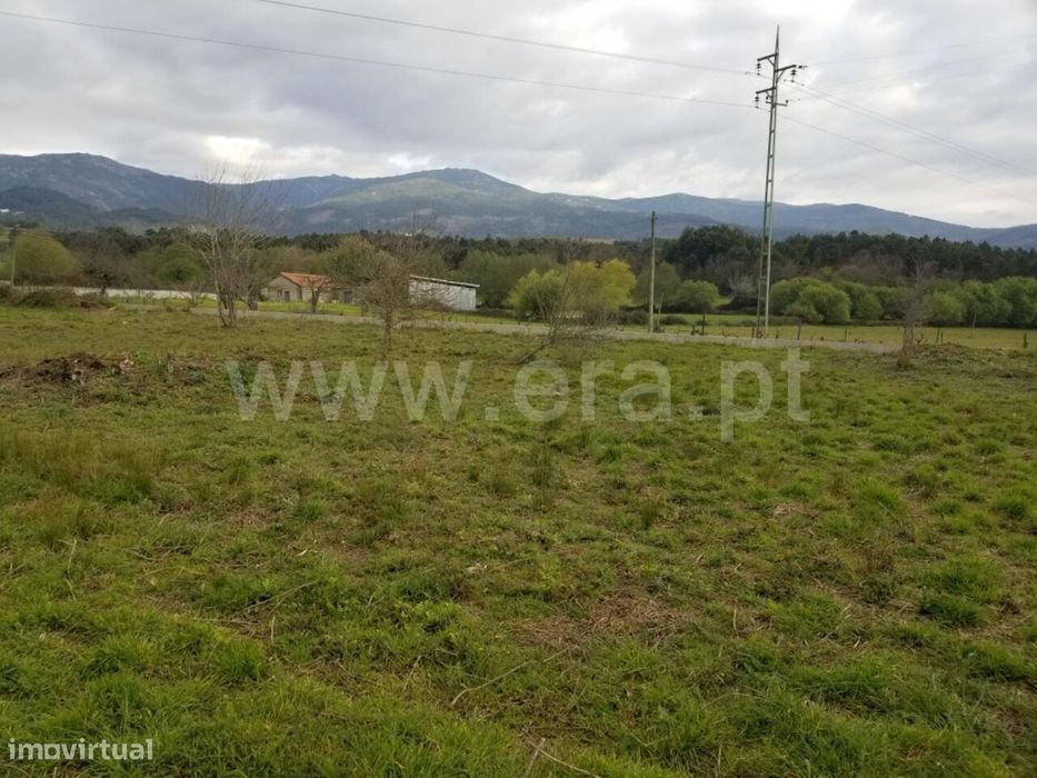 Terreno Rústico / Seia, São Romão