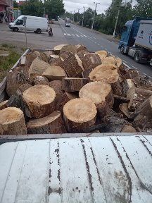 Продам дрова тополь, орех,клен