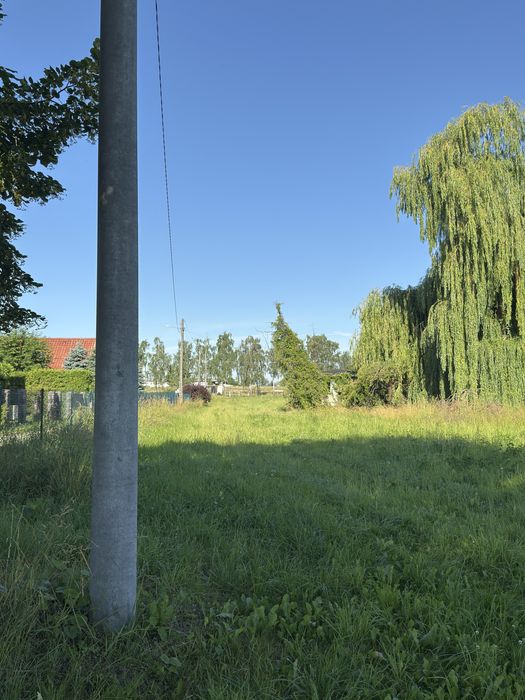 Działka Januszewice - Widok 6
