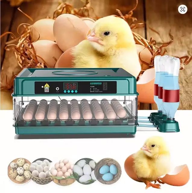 Инкубатор автоматический 12-220В Птаха Інкубатор автоматичний овоскоп