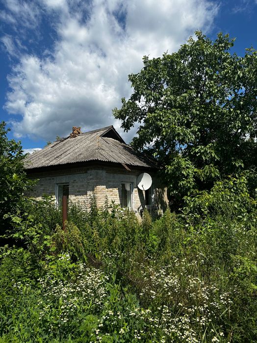 Продаж великої ділянки з будинку, Київське водосховище