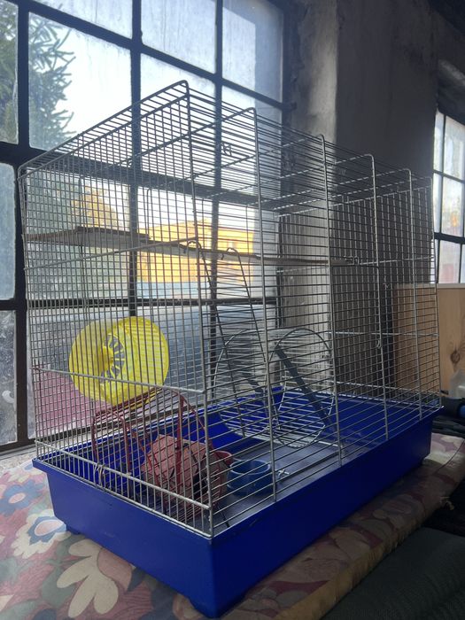 Klatka na ptaki  lub małe gryzonie